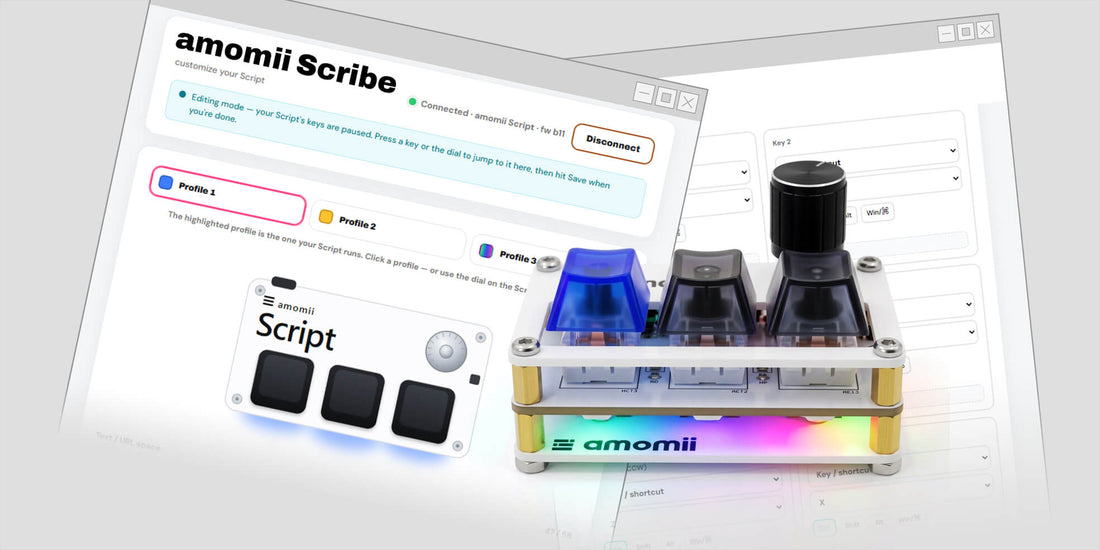 How to Use Scribe: Customize Your Script